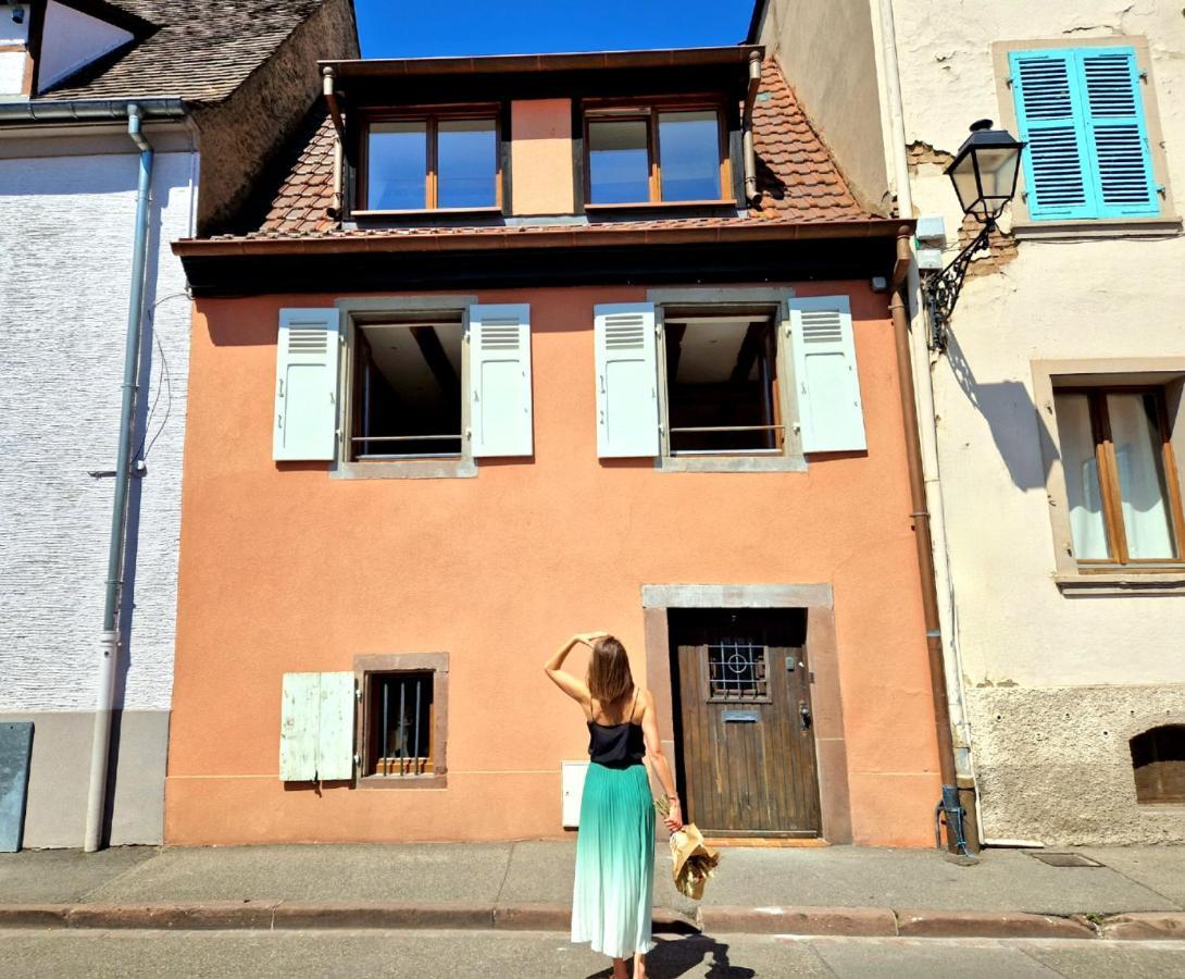 Home La Petite Porte - Petite Venise - Colmar Kültér fotó
